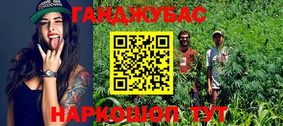 PSILOCYBIN Кулебаки