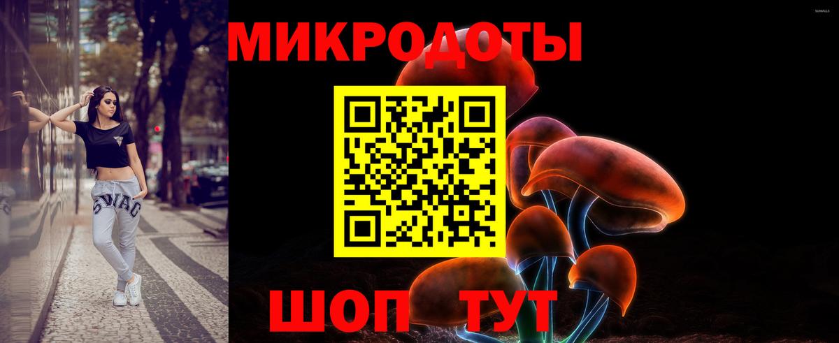 Галлюциногенные грибы прущие грибы Ессентуки